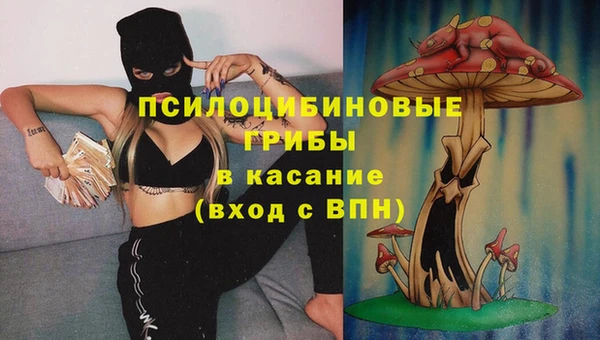 PSILOCYBIN Верхнеуральск