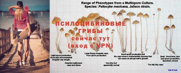 мет Верея