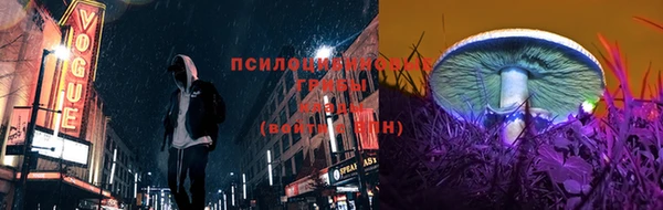 винт Верхний Тагил