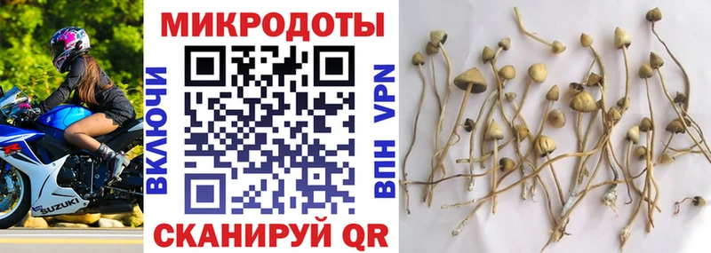 Галлюциногенные грибы Psilocybine cubensis  Орск 